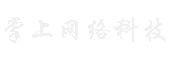 掌上网络科技